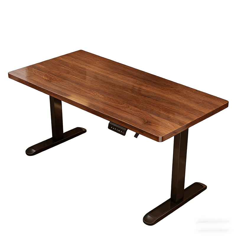 Modern Iron Dual Motor Electri - đánh giá và giá Desk Setup Designer
