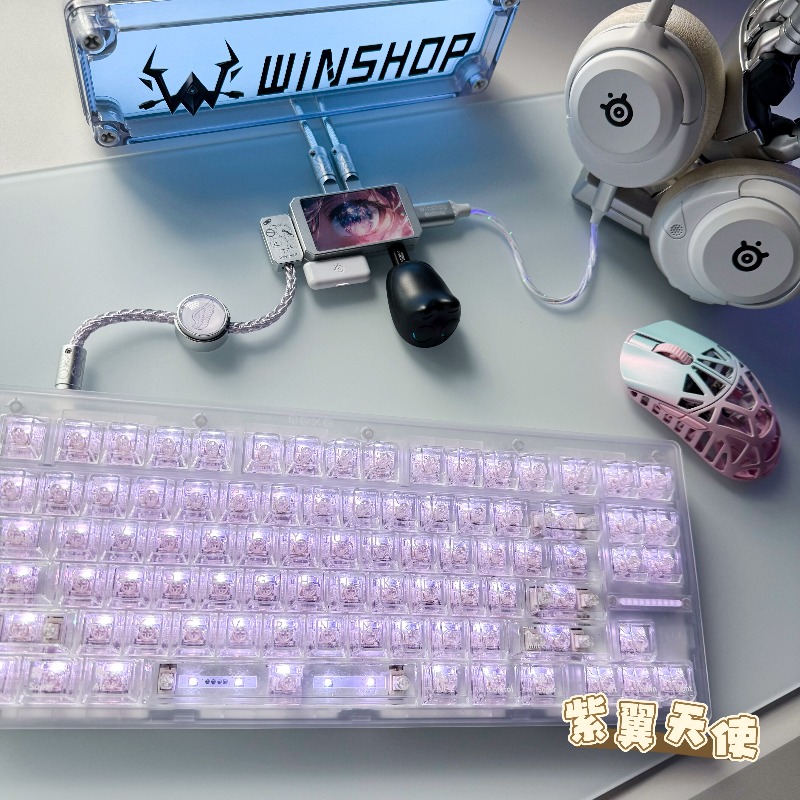 WINSHOP Esports HUB Dual-In 4- - đánh giá và giá Desk Setup Accessories Aesthetic